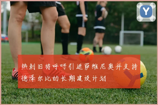 热刺旧将呼吁引进萨维尼奥并支持德泽尔比的长期建设计划