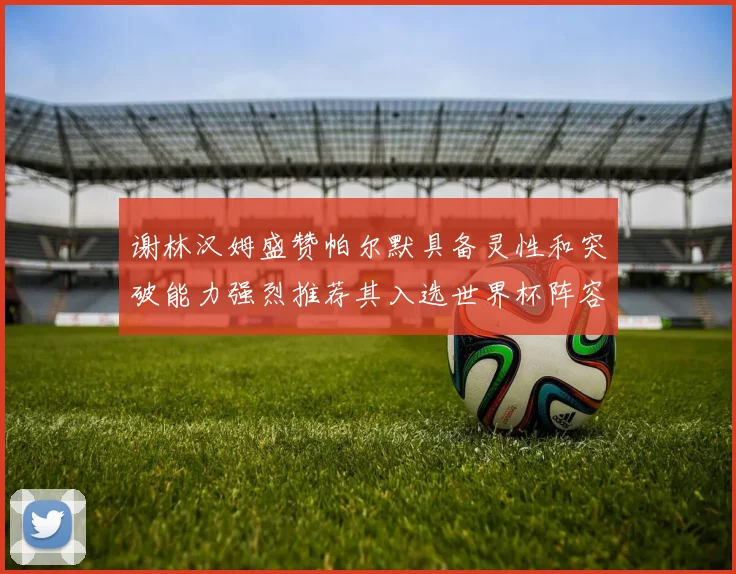 谢林汉姆盛赞帕尔默具备灵性和突破能力强烈推荐其入选世界杯阵容